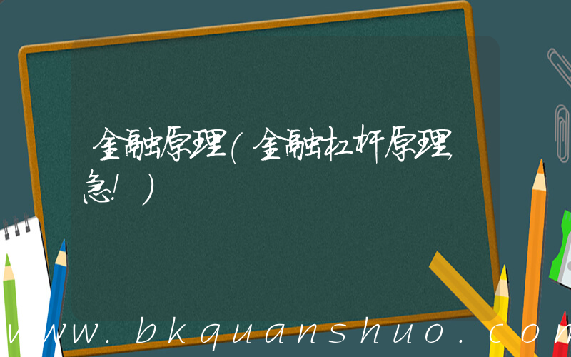 金融原理(金融杠杆原理，急！)