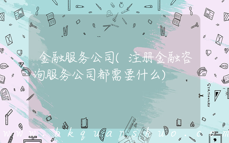 金融服务公司(注册金融咨询服务公司都需要什么)