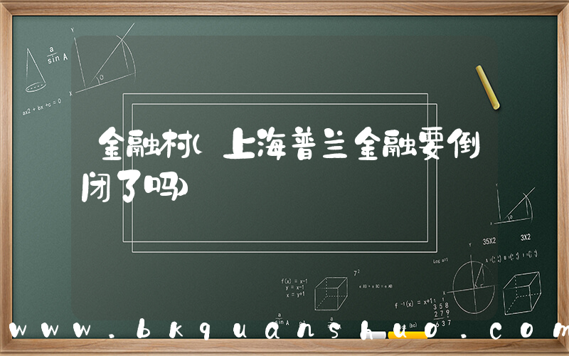 金融村(上海普兰金融要倒闭了吗)