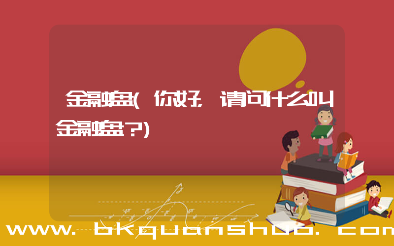 金融盘(你好，请问什么叫金融盘？)