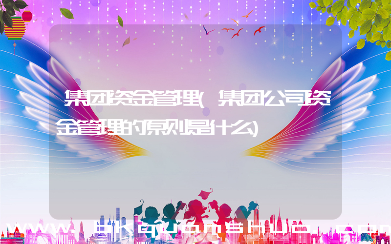 集团资金管理(集团公司资金管理的原则是什么)