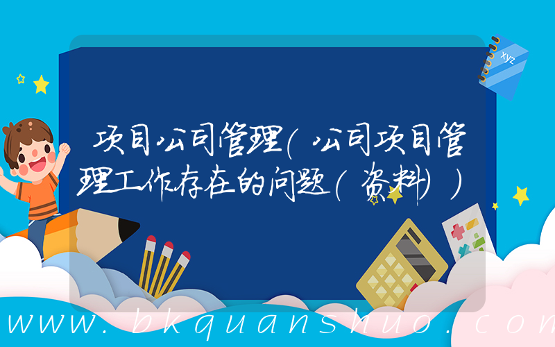 项目公司管理(公司项目管理工作存在的问题(资料))