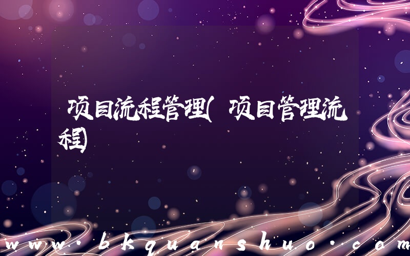 项目流程管理(项目管理流程)