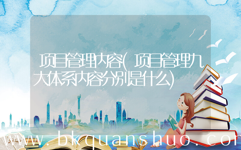 项目管理内容(项目管理九大体系内容分别是什么)