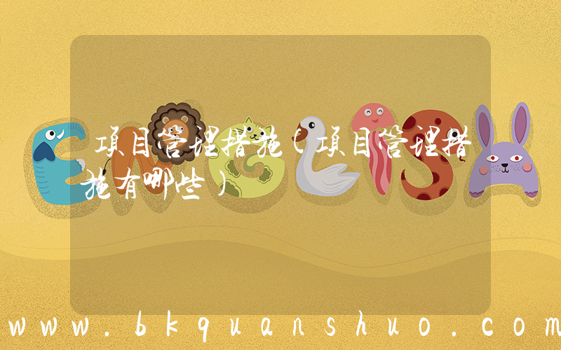项目管理措施(项目管理措施有哪些)