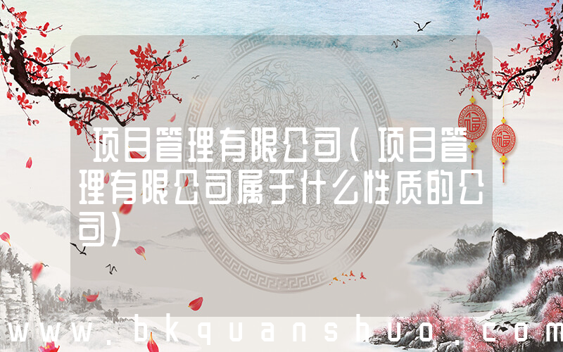 项目管理有限公司(项目管理有限公司属于什么性质的公司)