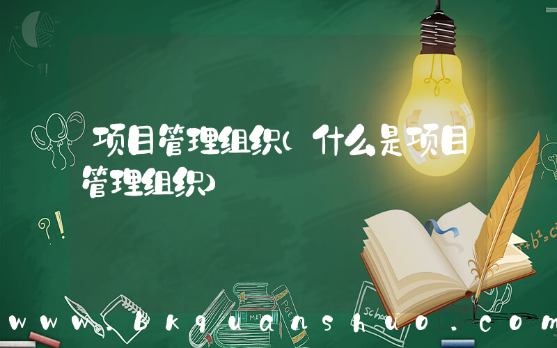 项目管理组织(什么是项目管理组织)