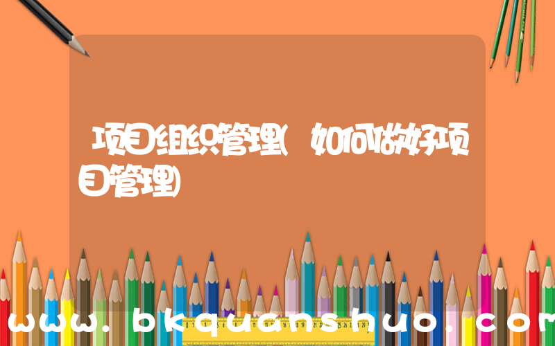 项目组织管理(如何做好项目管理)