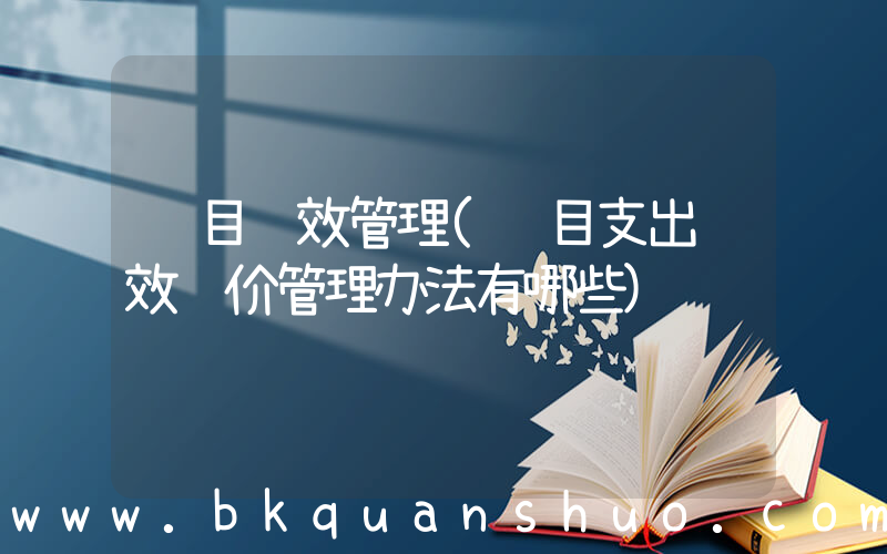 项目绩效管理(项目支出绩效评价管理办法有哪些)