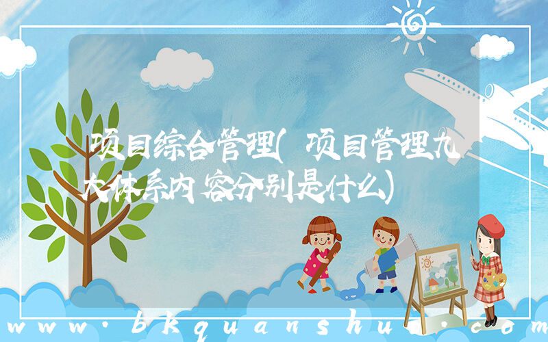 项目综合管理(项目管理九大体系内容分别是什么)