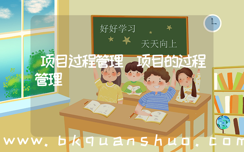项目过程管理(项目的过程管理)