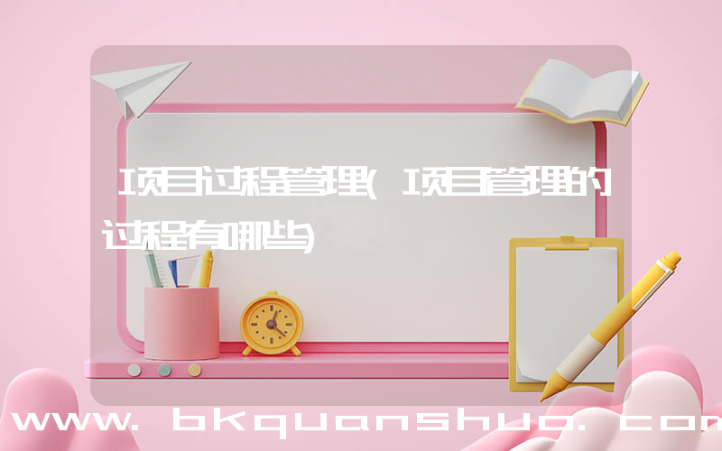 项目过程管理(项目管理的过程有哪些)